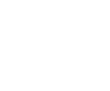 ss-1